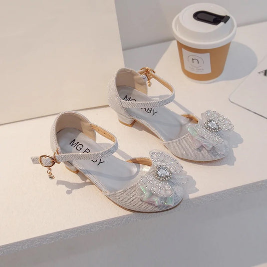 Silver Princess Shoes