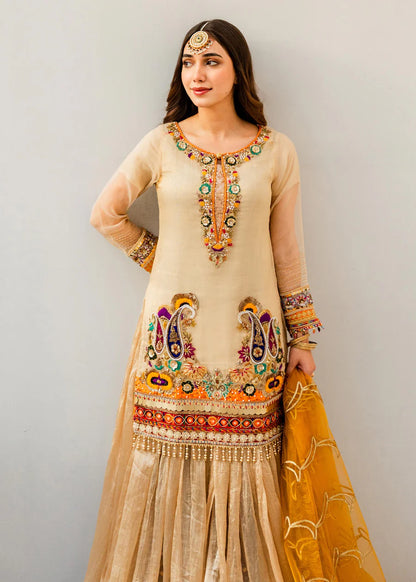 Sharara Suit