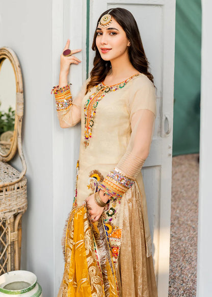 Sharara Suit